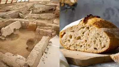 Roti Tertua di Dunia Dari 6600 SM