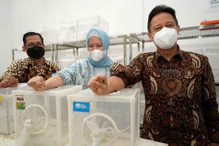 Penyebaran Nyamuk Wolbachia Tekan Angka DBD