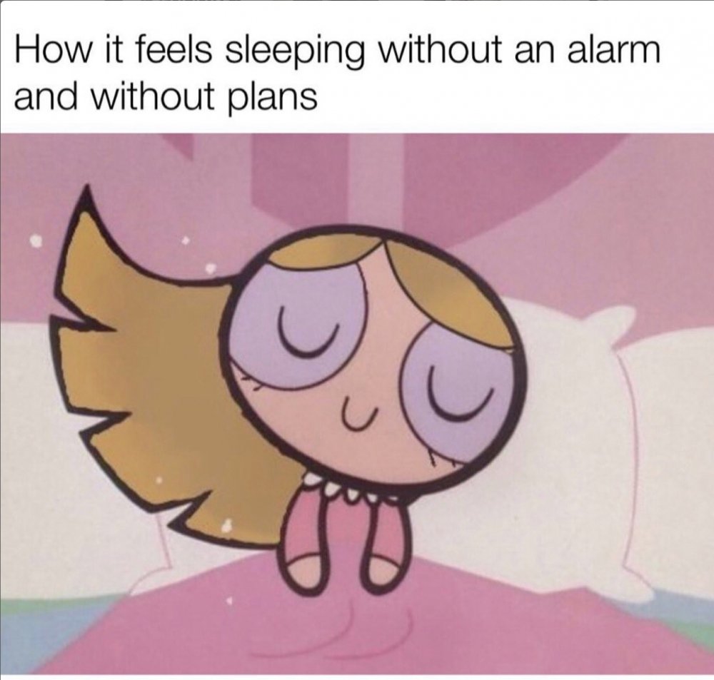 Friday Pause: I would’ve stayed at home 🏡