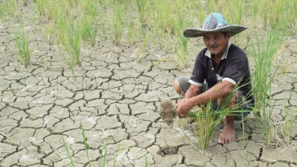 Kemarau Berkepanjangan Karena Fenomena El Nino, Kaesang Pangarep Jadi Ketua Umum Partai, Media Sosial Dilarang Jualan, Medali Emas Pertama Indonesia di Asian Games 2023