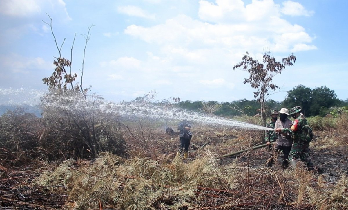 Kebakaran Hutan di Aceh Barat