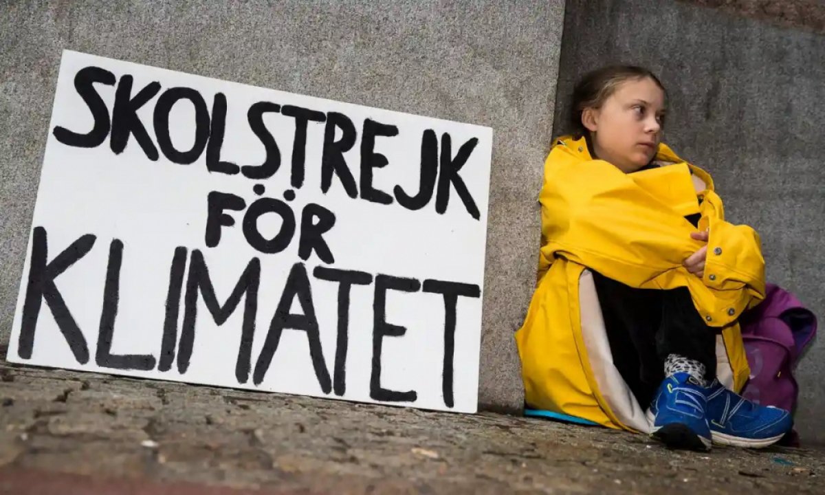 Greta Thunberg Aktivis Lingkungan Swedia Dijatuhi Hukuman