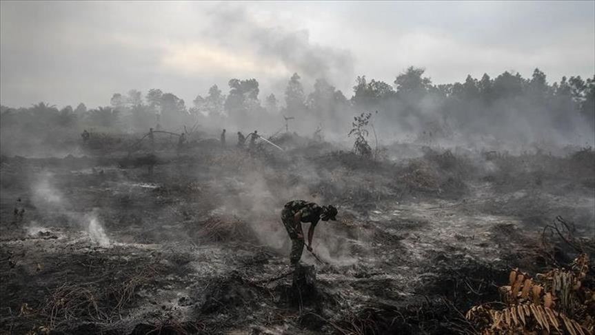 Fenomena El Nino Di Indonesia