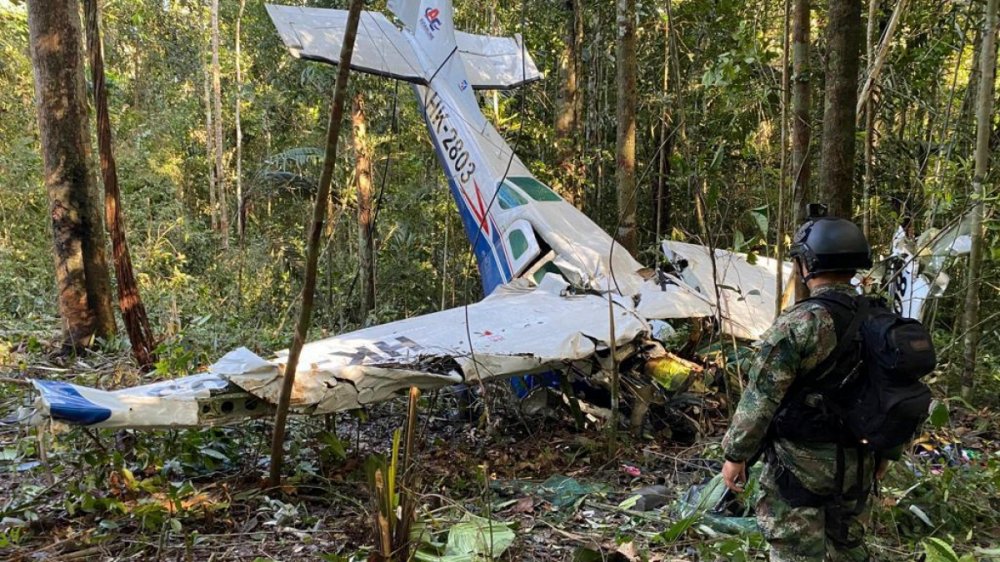 4 Anak Bertahan Hidup di Hutan Amazon