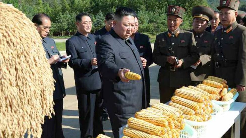 Krisis Pangan di Korea Utara
