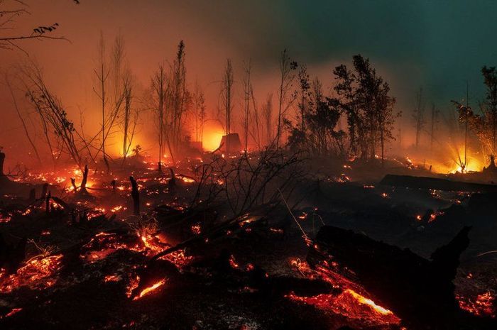 Kebakaran Hutan & Lahan Jadi Isu Global