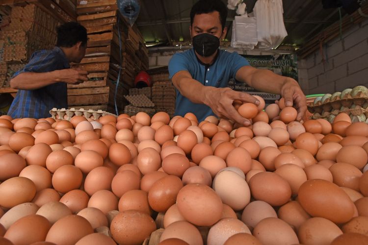 Harga Telur Naik, Menteri Perdagangan : Itu Hal Biasa, Yuni Utami Bongkar Senior Ubah Berkas BAP Kasus Pemerkosaan, Jumlah Kasus Cacar Monyet Turun, 2035 California Larang Jual Mobil Bahan Bakar Bensin