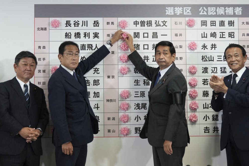 Jepang Gelar Pemilu Untuk Anggota Parlemen
