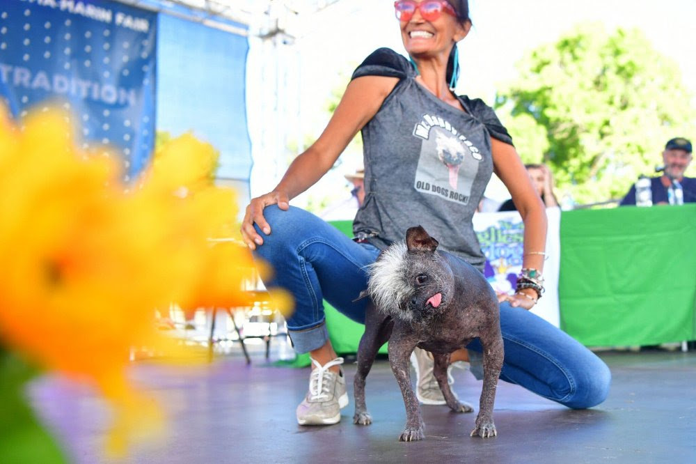 Mr Happy Face Pemenang Kontes Anjing Terjelek di Dunia