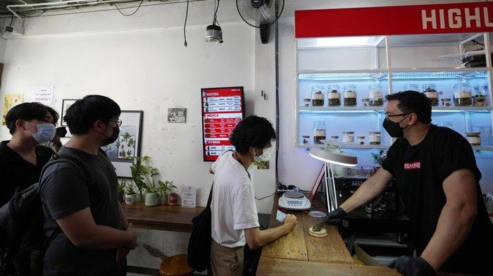 Ganja Resmi Dilegalkan di Thailand