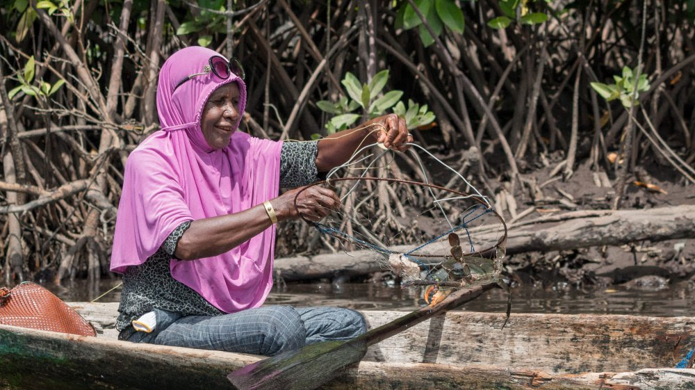 llegal Fishing Marak Terjadi di Indonesia