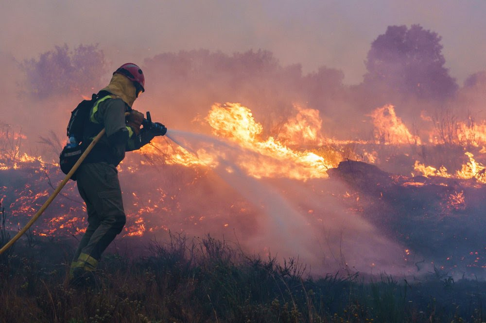 Kebakaran Hutan & Lahan di Benua Eropa