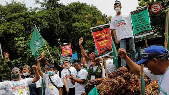 Aksi Ribuan Petani Sawit di Kemenko Perekonomian