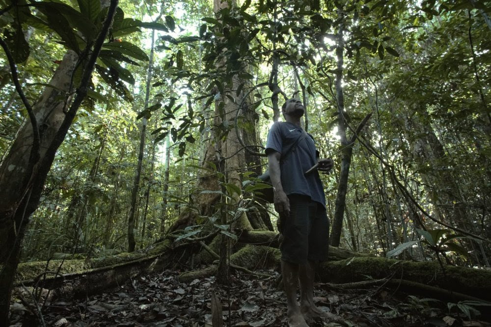 Papua Barat Terbitkan Aturan Tata Cara Pengakuan Kelompok & Wilayah Adat