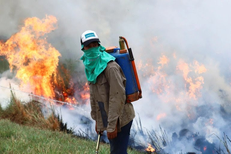 Amerika Cuaca Buruk, Argentina Mengalami Kebakaran Hutan