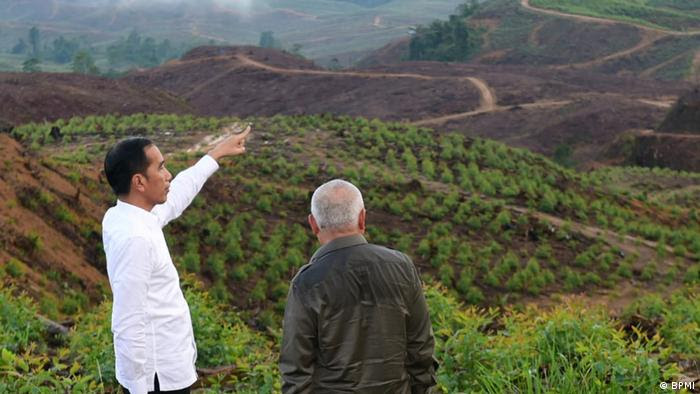 Petisi Batalkan Rencana Pemindahan IKN di Kalimantan Timur
