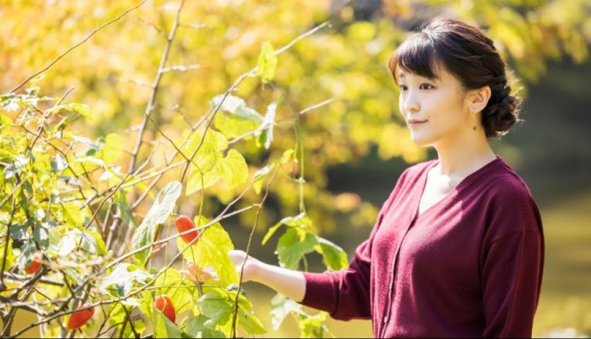 Pernikahan Kerajaan Jepang