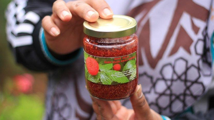 Berry Asli Indonesia : Kerben Berry