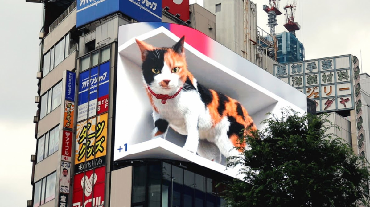 Video Kucing 3D di Billboard Shinjuku District, Tokyo