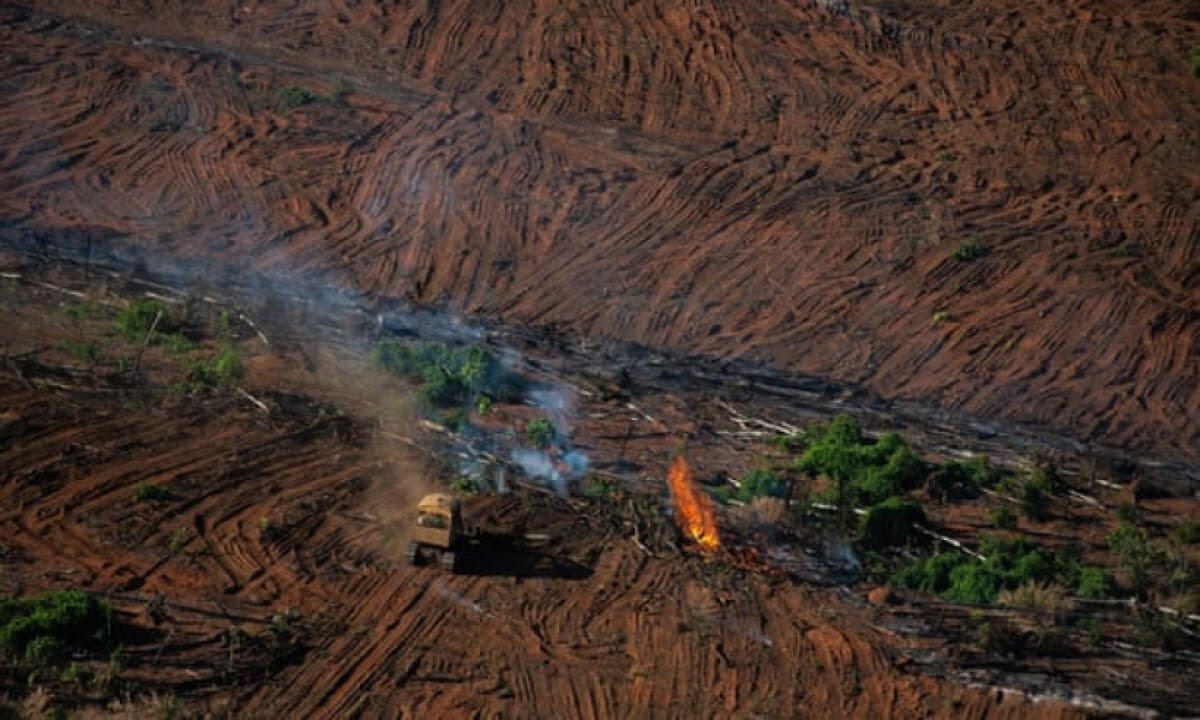 Deforestasi Hutan Amazon Meningkat Ke Level Tertinggi Dibawah Pemerintahan Presiden Bolsonaro