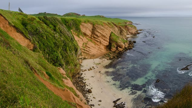 Chatham Island Di New Zealand Jadi Alternatif Tujuan Wisata