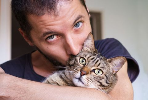 Beberapa Tipe Pemilik Kucing Berdasarkan Tempat Tinggal