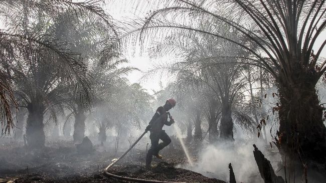 PSBB dan Karhutla, Blokir Internet di Myanmar, Amazon Investasi Energi Bersih, Pelukan di Panti Jompo
