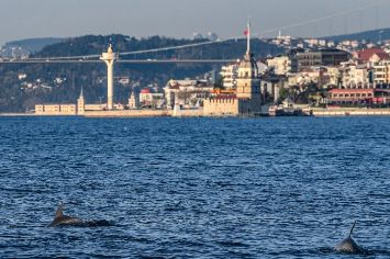 Selat Bosphorus