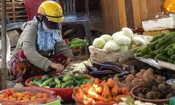 FAO Warning tentang Ketahanan Pangan
