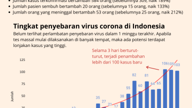 Siapkah Indonesia Menghadapi Covid-19 ?