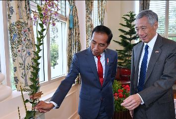Kunjungan ke Singapura, PLN, Perempuan Nonton Bola, OVO, Susi Pudjiastuti