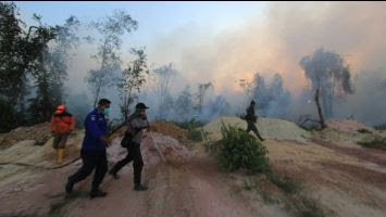 This girl is on fire… and so is our forests