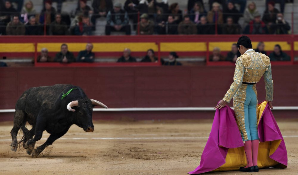 Kolombia Larang Adu Banteng