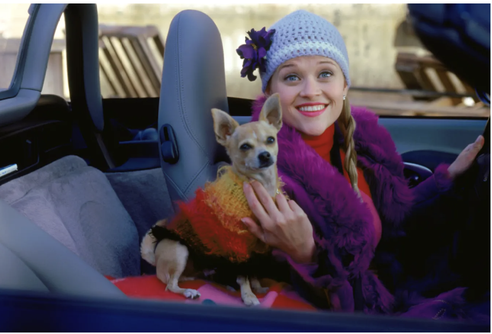 Project Prequel Legally Blonde