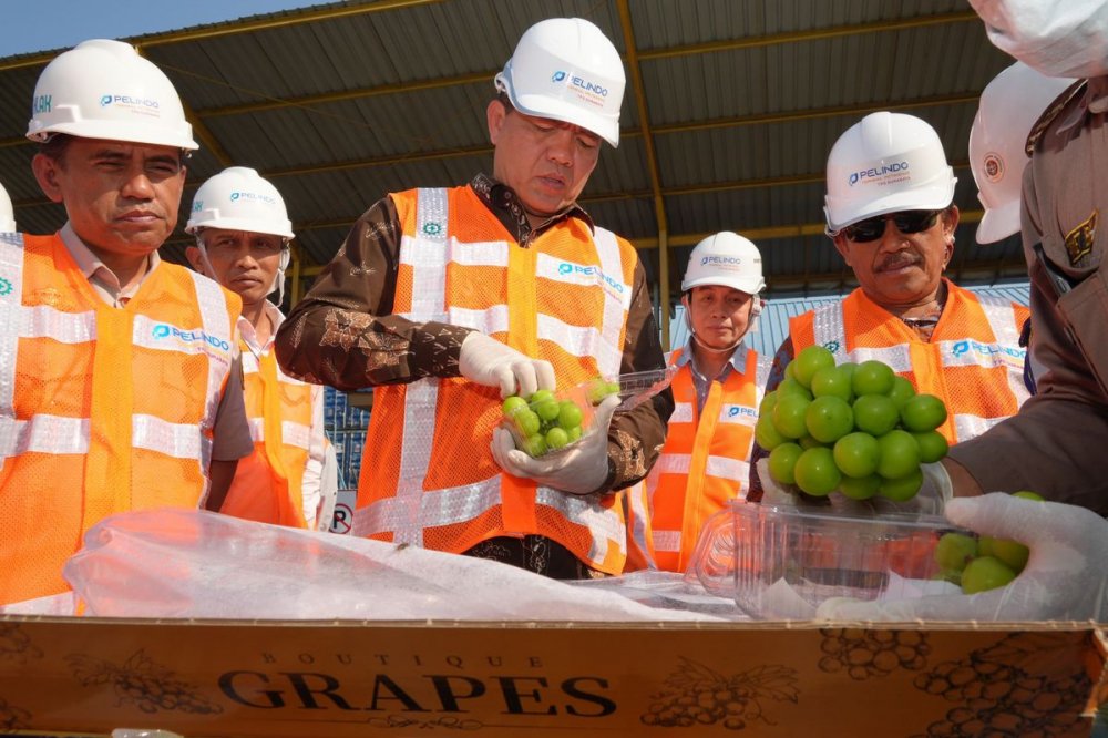 Anggur Muscat Mengandung Bahan Kimia Berbahaya