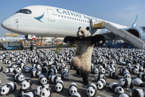 Pameran Patung Panda di Hongkong