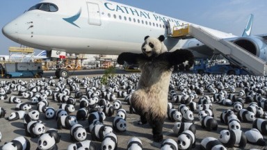 Pameran Patung Panda di Hongkong